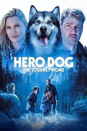 Hero Dog The Journey Home Full İzle