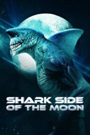 Shark Side of the Moon Full HD İzle