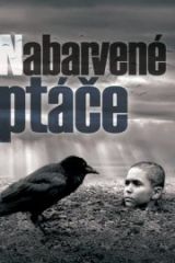 Boyalı Kuş Full HD İzle