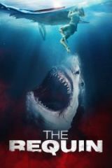 The Requin Full İzle