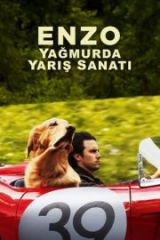 Enzo Yağmurda Yarış Sanatı Full HD İzle