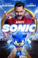 Kirpi Sonic Full HD İzle