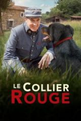 Le Collier rouge Full HD Film İzle