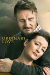 Ordinary Love HD izle