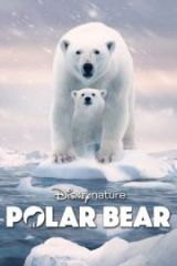 Polar Bear HD izle