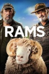 Rams Full HD İzle