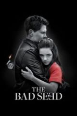 The Bad Seed Full HD İzle