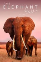The Elephant Queen Full HD İzle