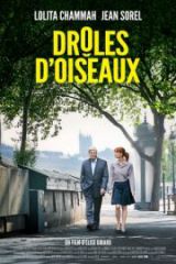 Drôles d’oiseaux HD izle